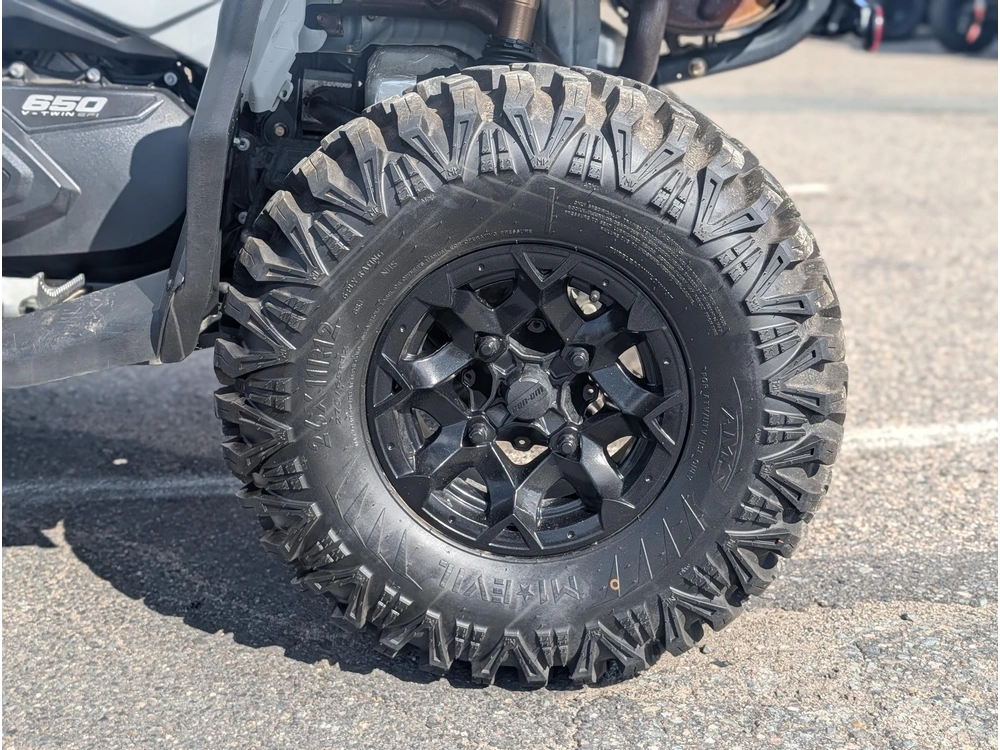 2024 Brp Renegade 650