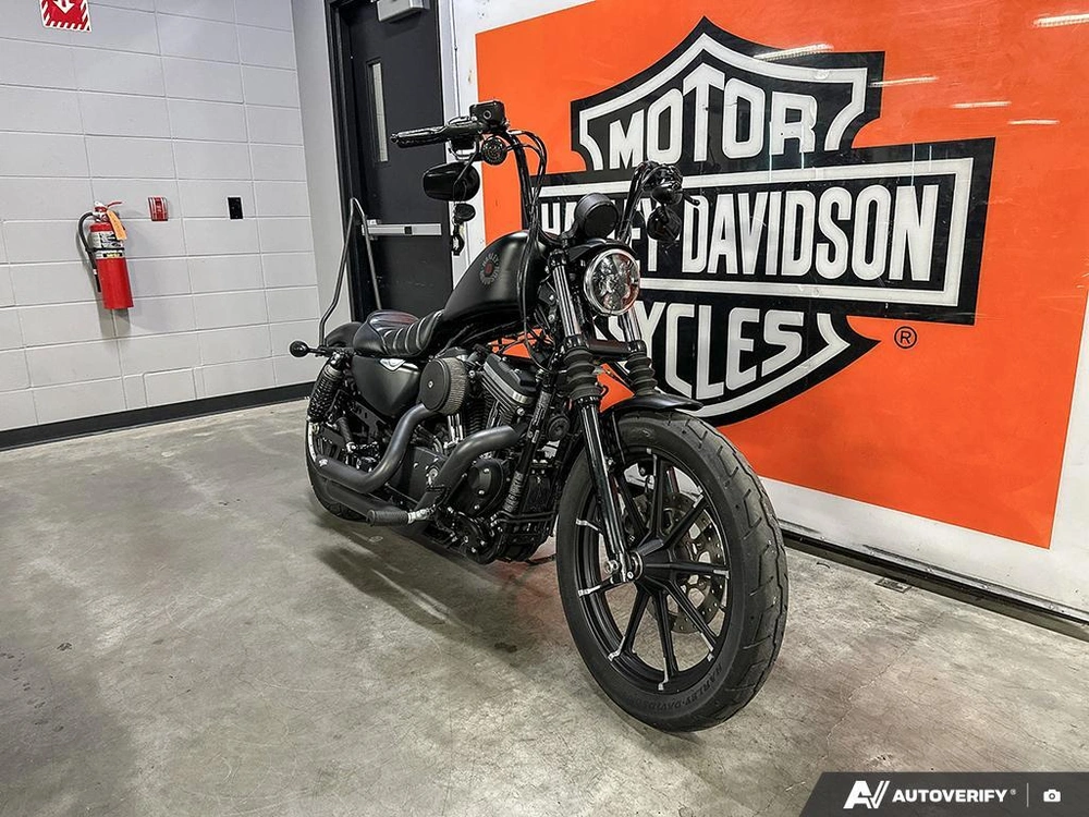 2021 Harley-davidson Iron 883 alt