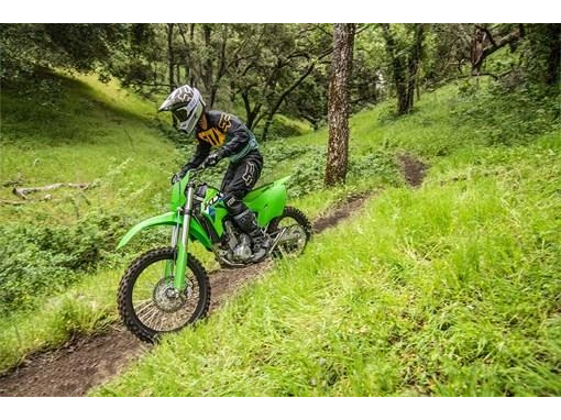 2027 Kawasaki Klx300r alt