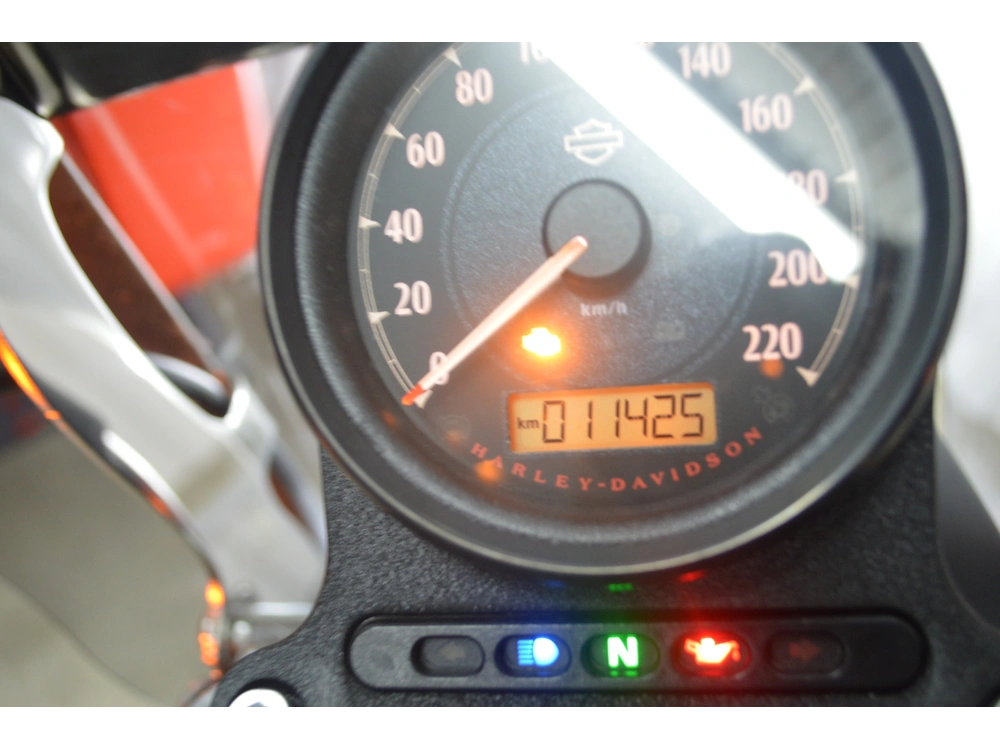 2022 Harley-davidson Xl883n alt