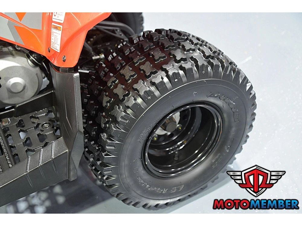 2019 Can-am Ds 90 alt