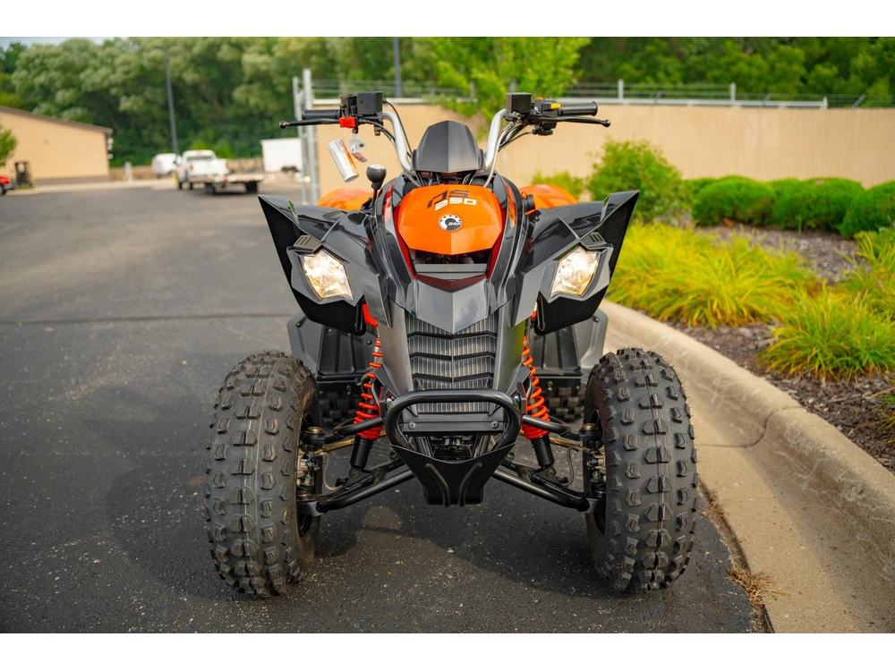 2026 Can-am Ds 250 alt