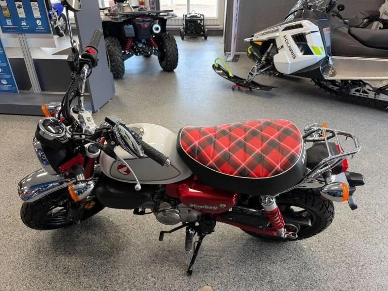 Honda Monkey 2024