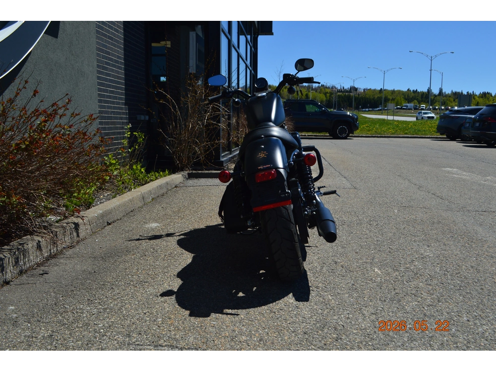 2022 Harley-davidson Xl883n alt