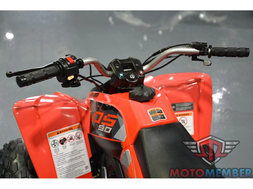2019 Can-am Ds 90 alt