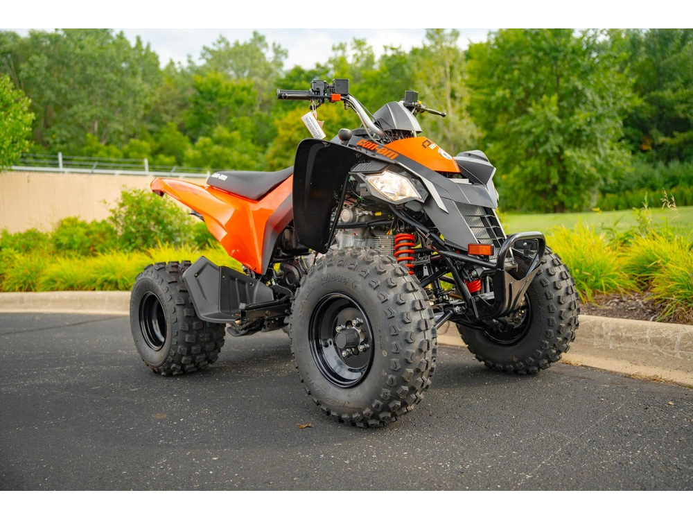 2026 Can-am Ds 250 alt