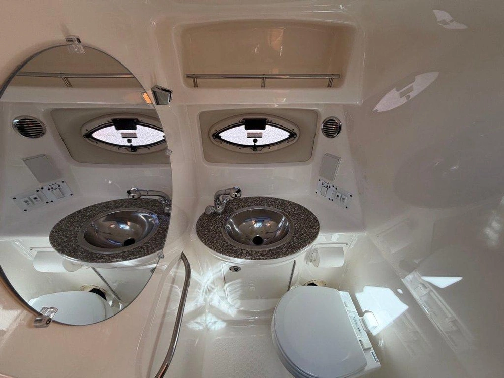Chaparral 250 Signature 2009