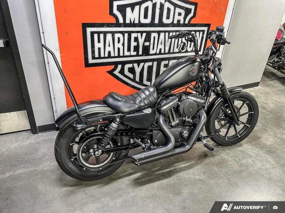 2021 Harley-davidson Iron 883 alt