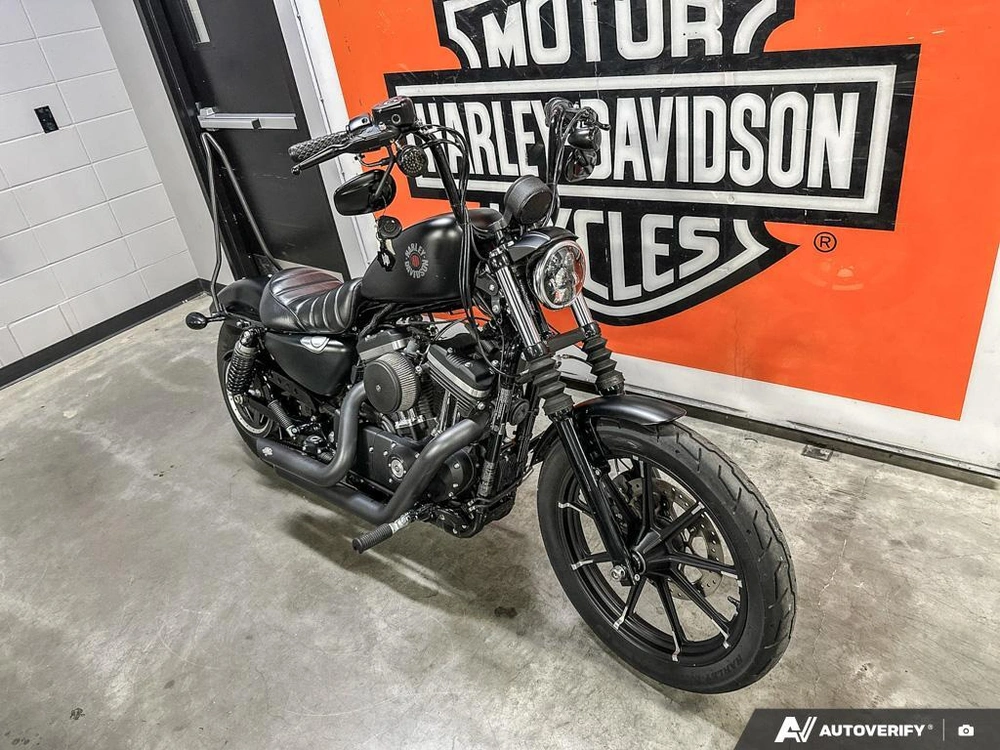 2021 Harley-davidson Iron 883 alt