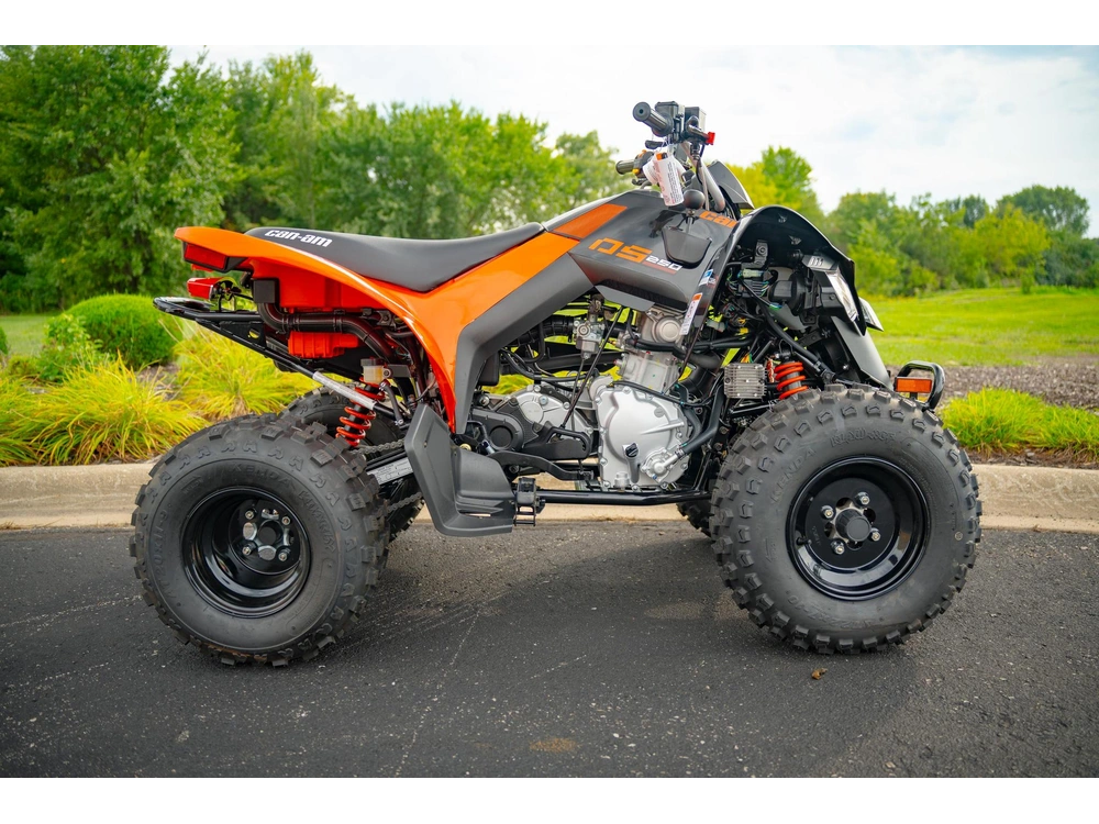 2026 Can-am Ds 250 alt