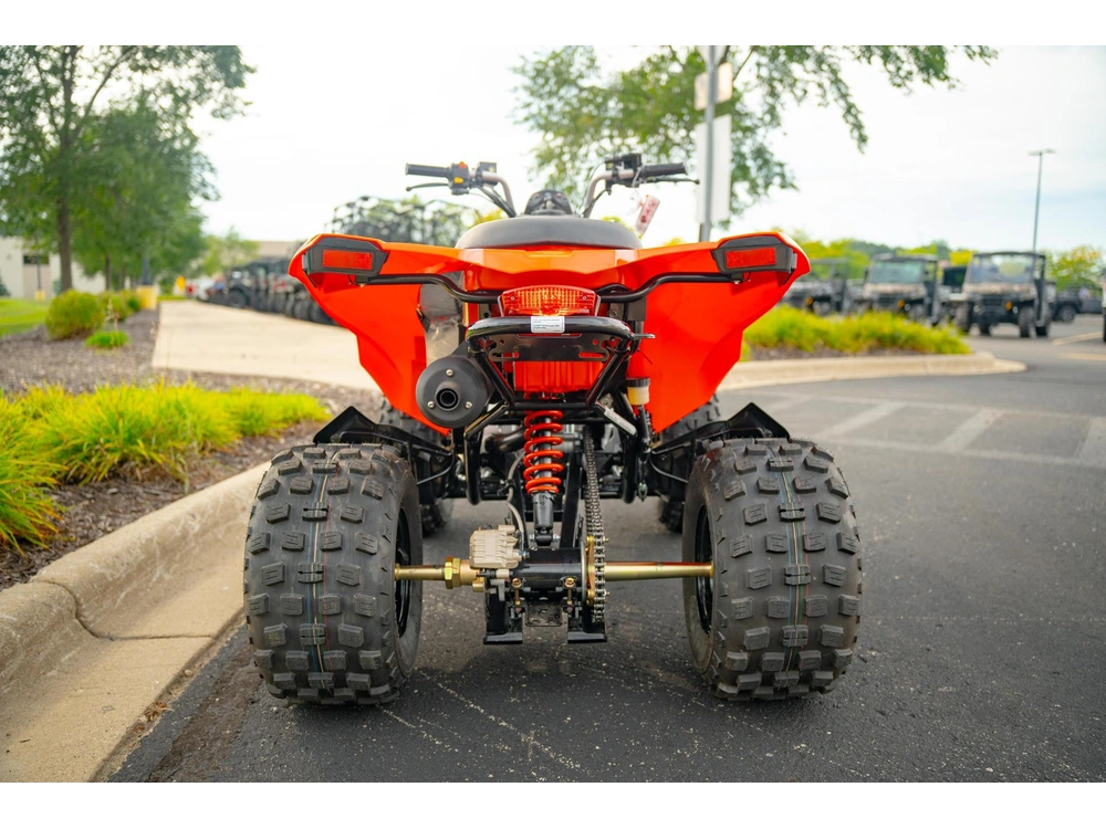 2026 Can-am Ds 250 alt