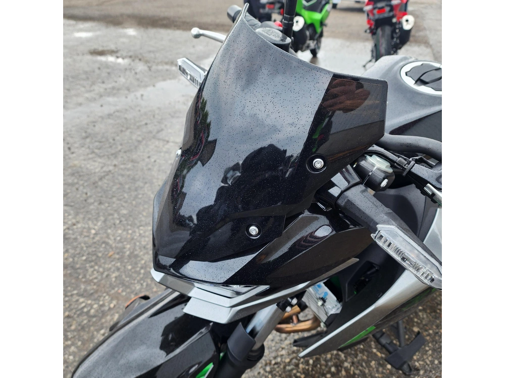 2025 Kawasaki Z500 Se alt