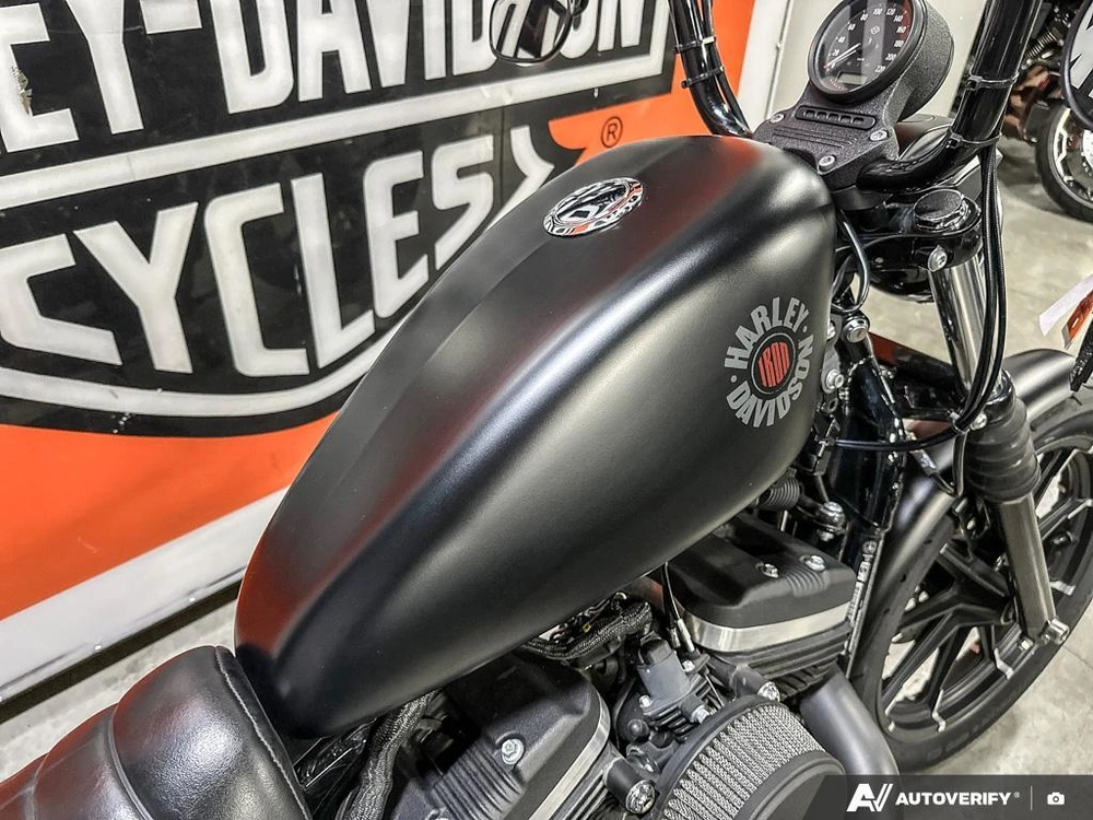 2021 Harley-davidson Iron 883 alt