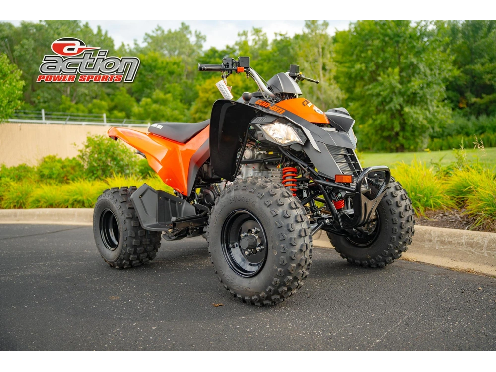 2026 Can-am Ds 250 alt
