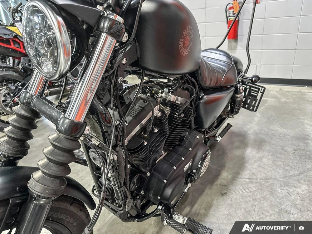 2021 Harley-davidson Iron 883 alt