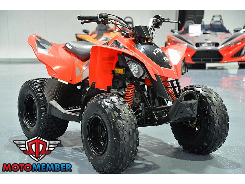 2019 Can-am Ds 90 alt
