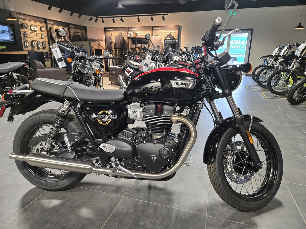 2026 Triumph Bonneville T100 alt