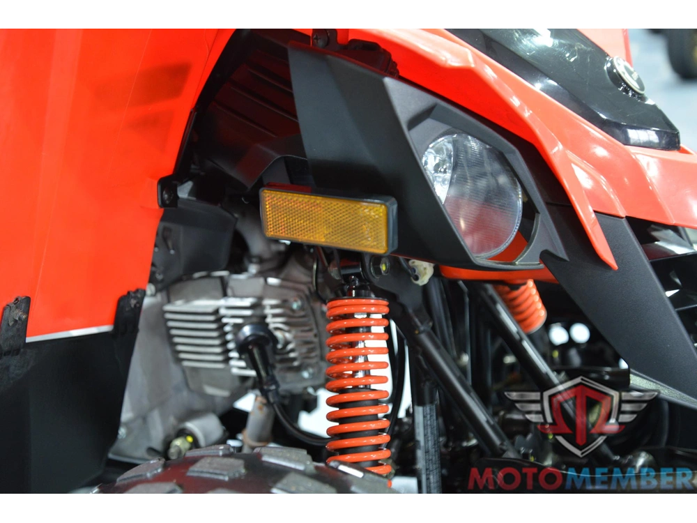 2019 Can-am Ds 90 alt