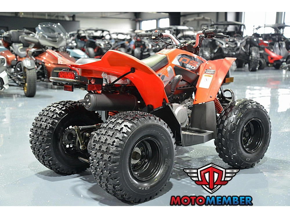 2019 Can-am Ds 90 alt
