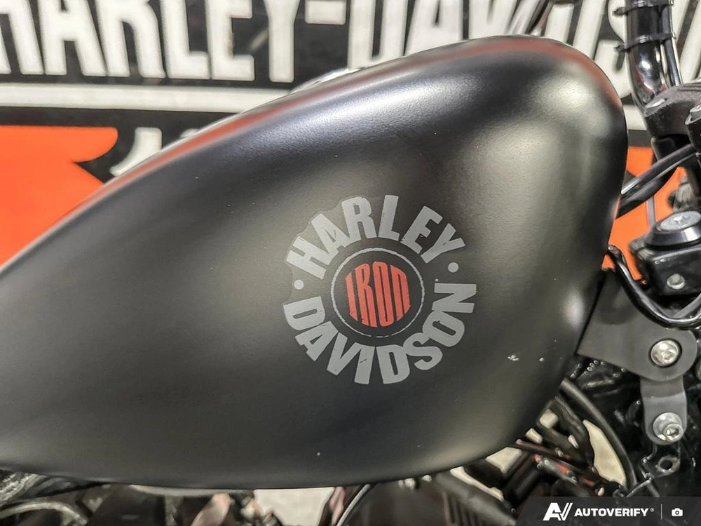 2021 Harley-davidson Iron 883 alt