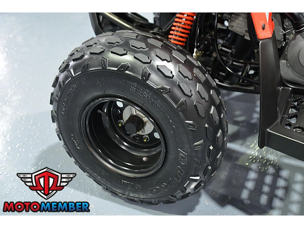2019 Can-am Ds 90 alt