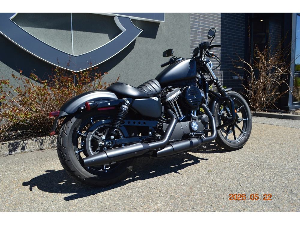 2022 Harley-davidson Xl883n alt