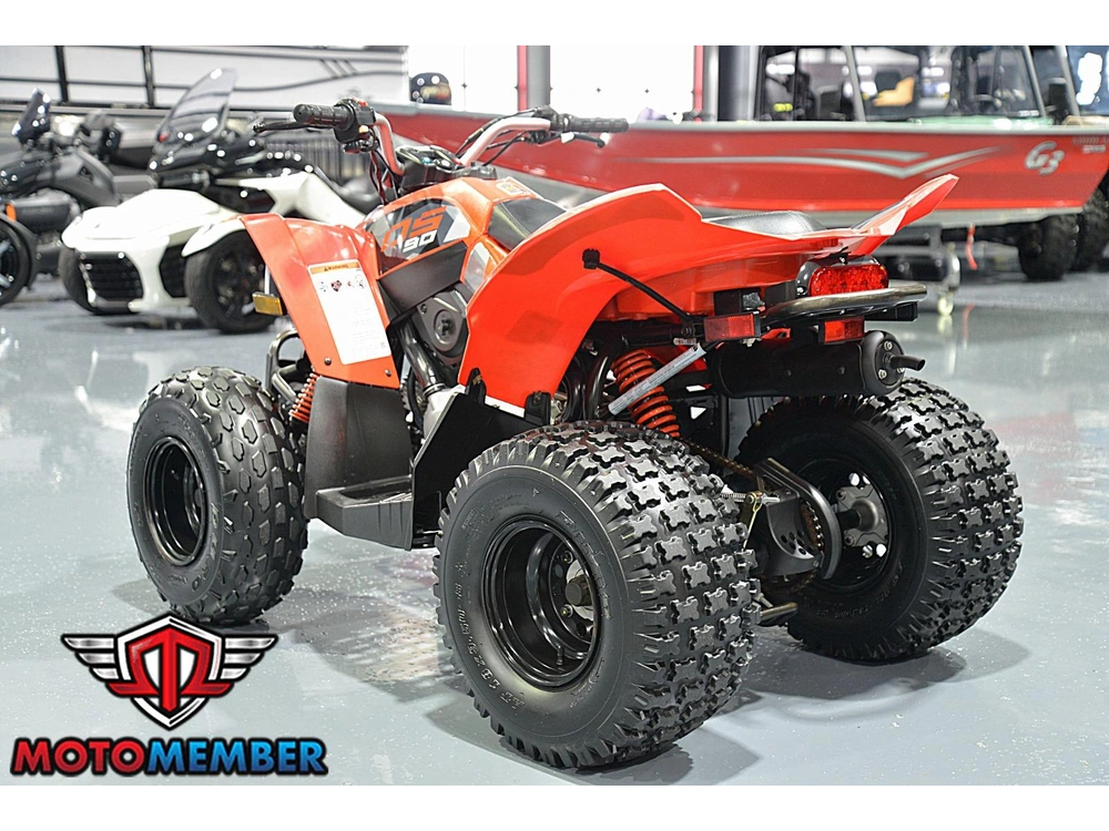 2019 Can-am Ds 90 alt