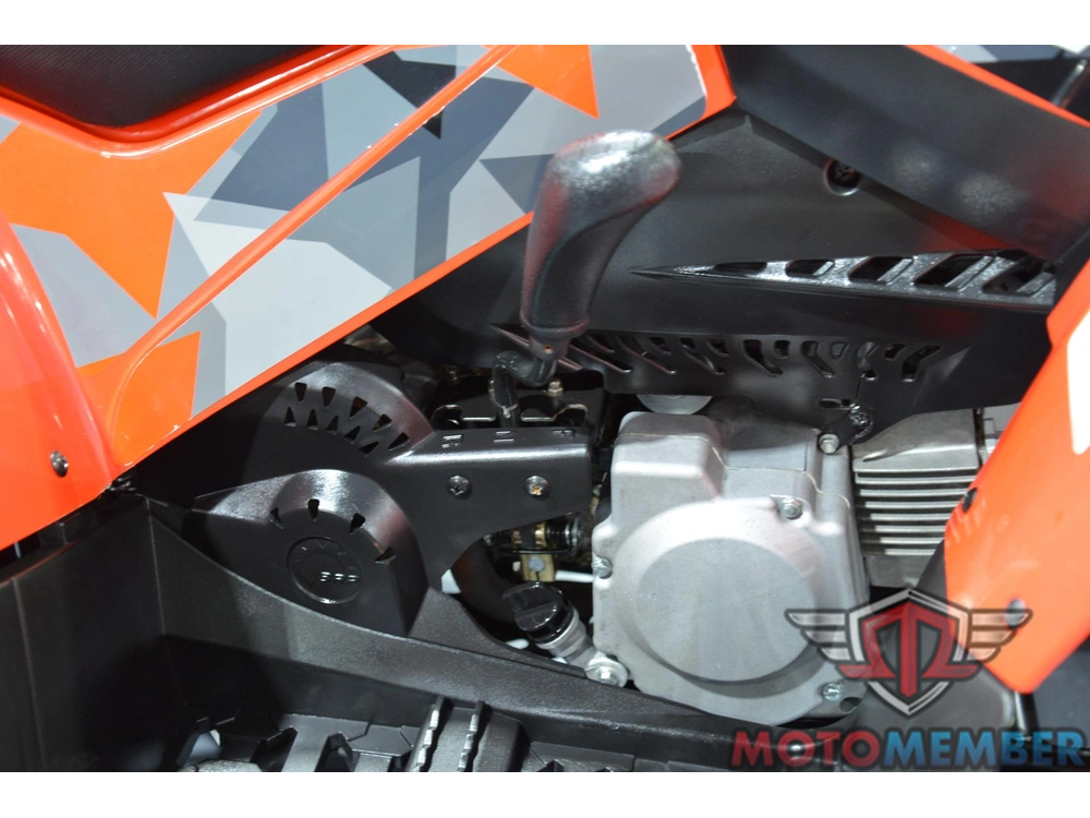 2019 Can-am Ds 90 alt