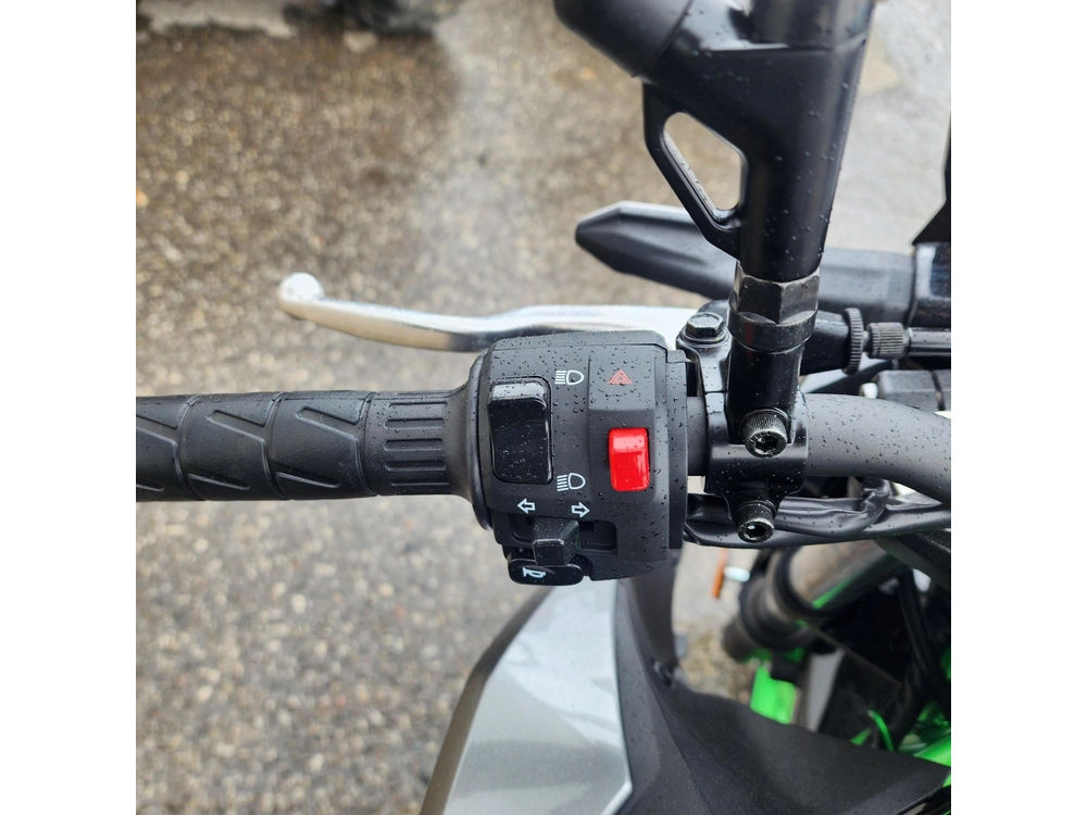 2025 Kawasaki Z500 Se alt