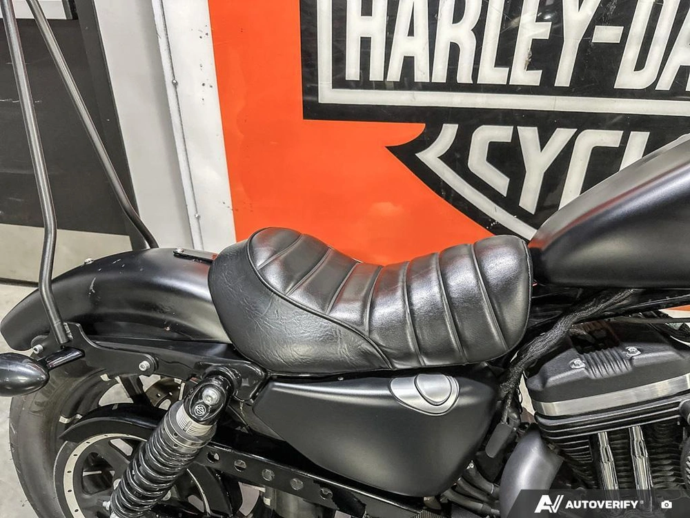 2021 Harley-davidson Iron 883 alt