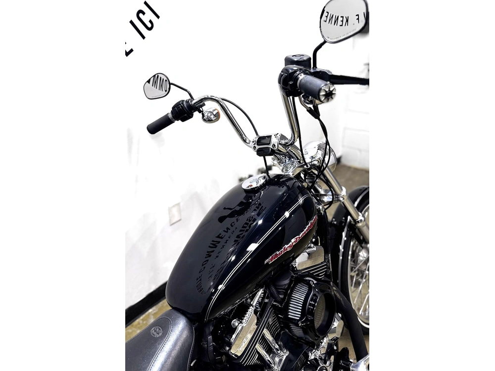 Harley-davidson Xl1200 Custom 2006 alt