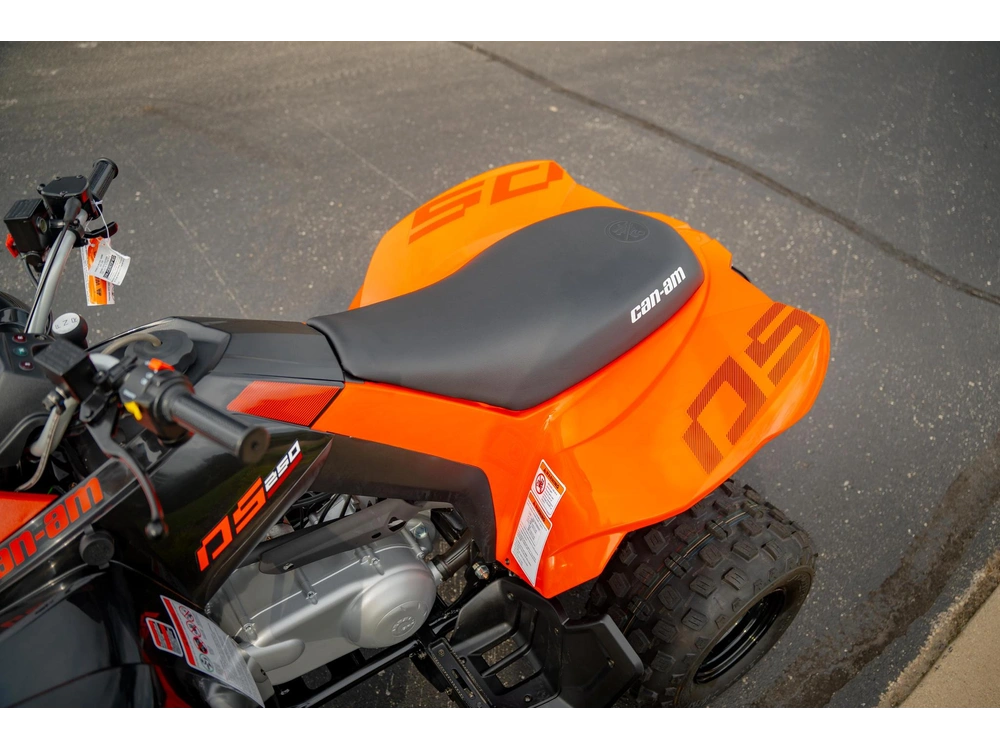 2026 Can-am Ds 250 alt
