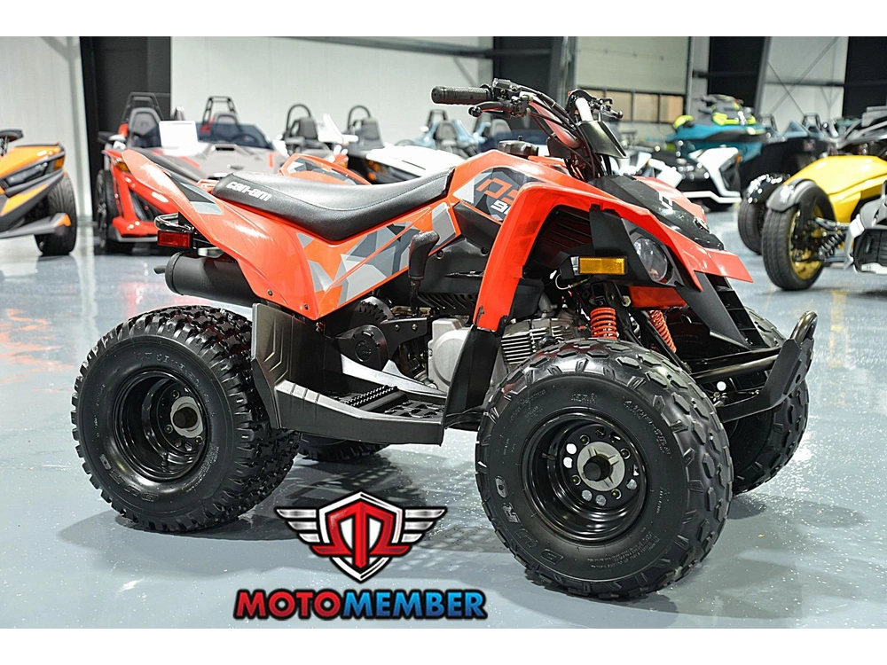 2019 Can-am Ds 90 alt
