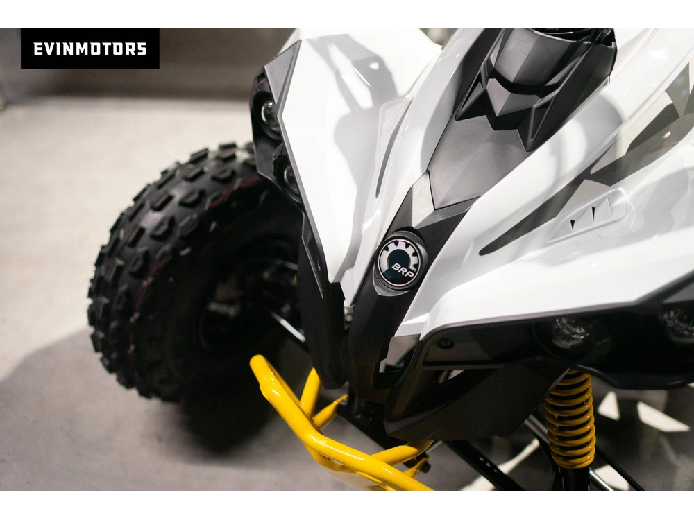 2023 Can-am Renegade 110