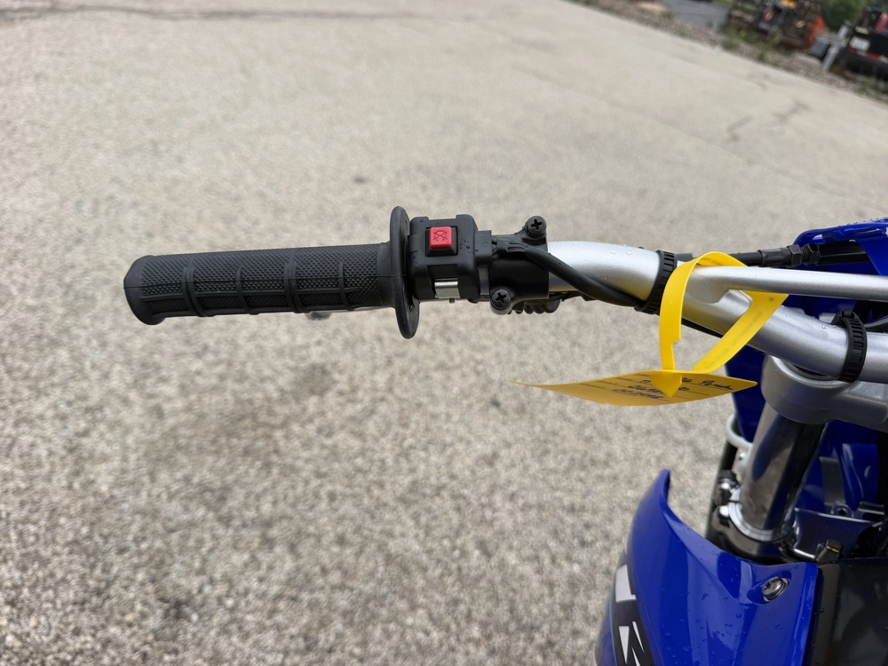 2026 Yamaha Tt-r230 alt