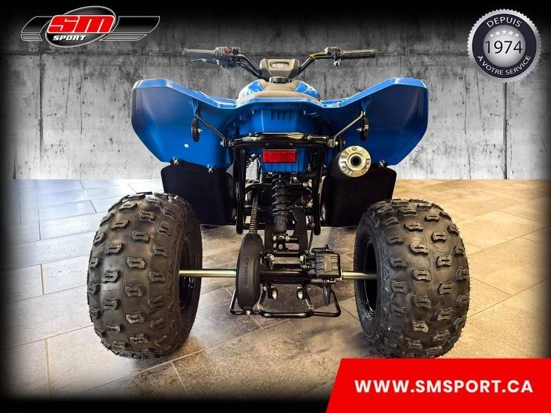 2026 Cfmoto Cforce 110 Classic alt
