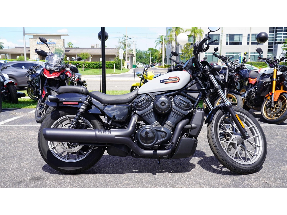 2025 Harley-davidson Nightster 975 Special alt
