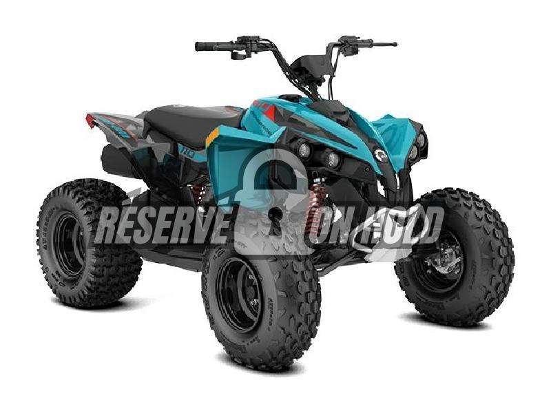 2026 Can-am Renegade 110 Efi alt