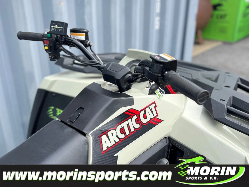 Arctic Cat Alterra 600 2023