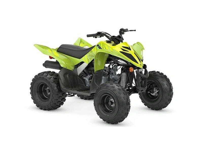 2026 Yamaha Raptor 110
