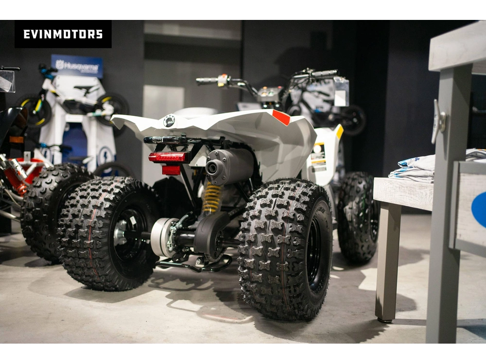 2023 Can-am Renegade 110