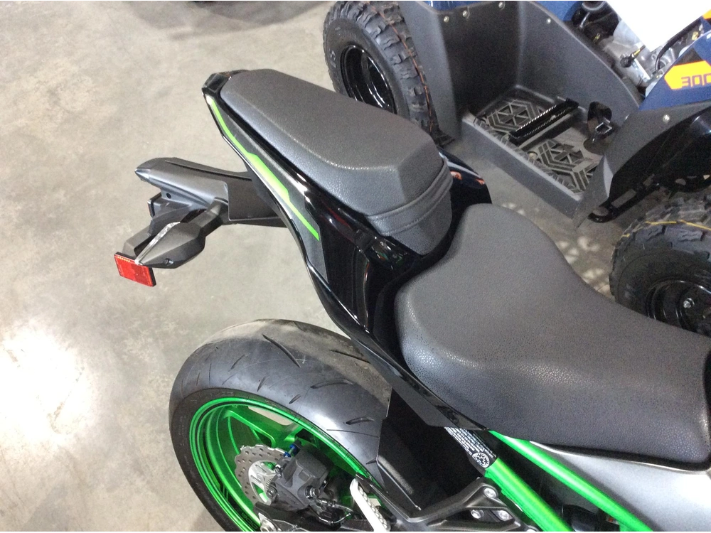Kawasaki Z900 Abs 2023 alt