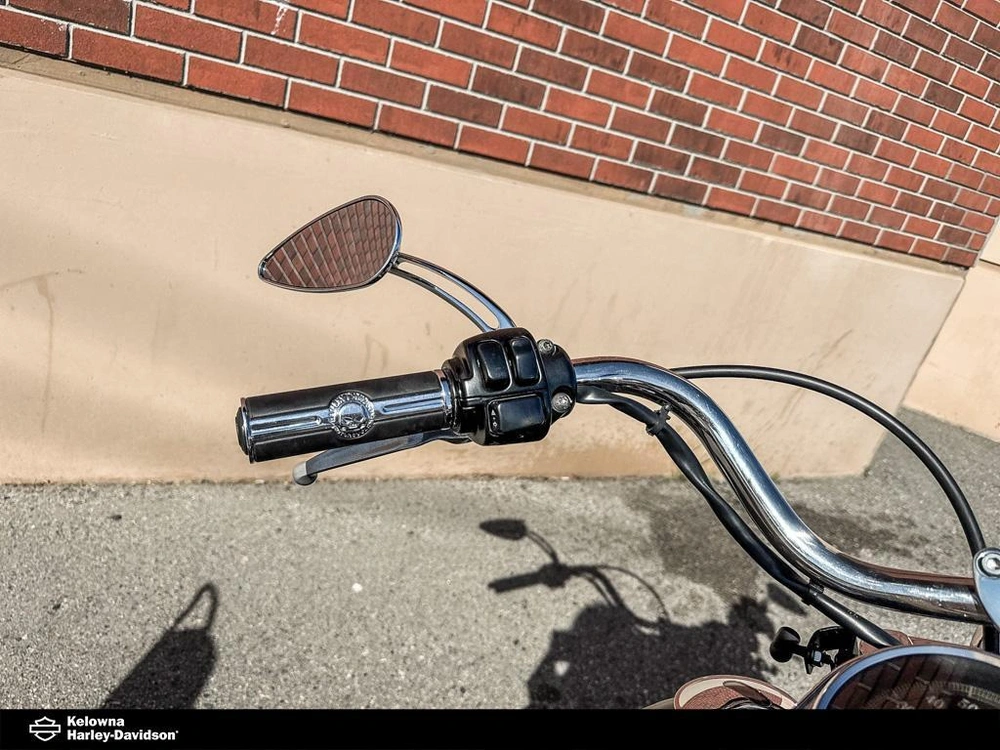 2003 Harley-davidson Fxst - Softail™ Standard