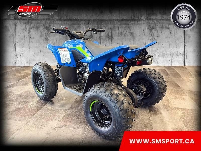 2026 Cfmoto Cforce 110 Classic alt