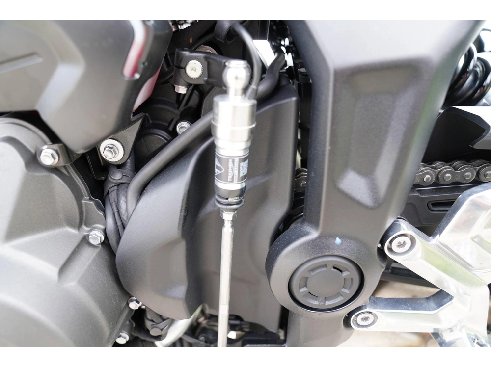 2025 Triumph Trident 660 alt