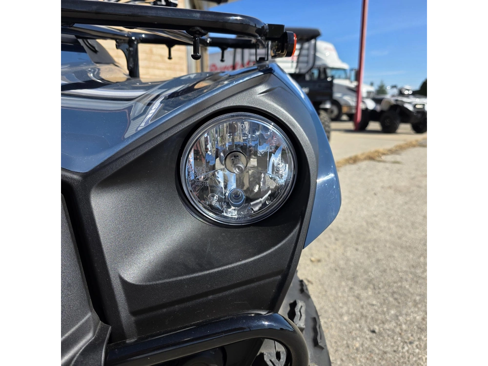 2025 Kawasaki Brute Force 300