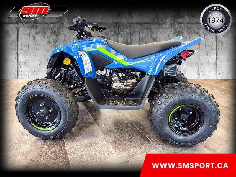 2026 Cfmoto Cforce 110 Classic alt