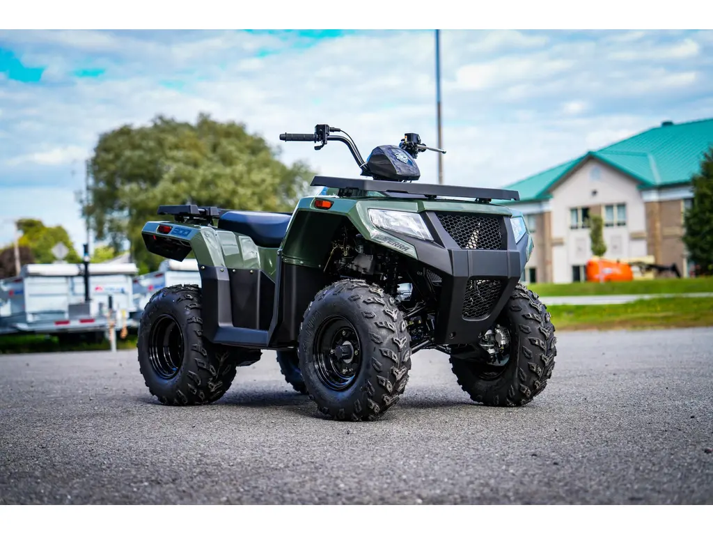 Arctic Cat Alterra 300  2026