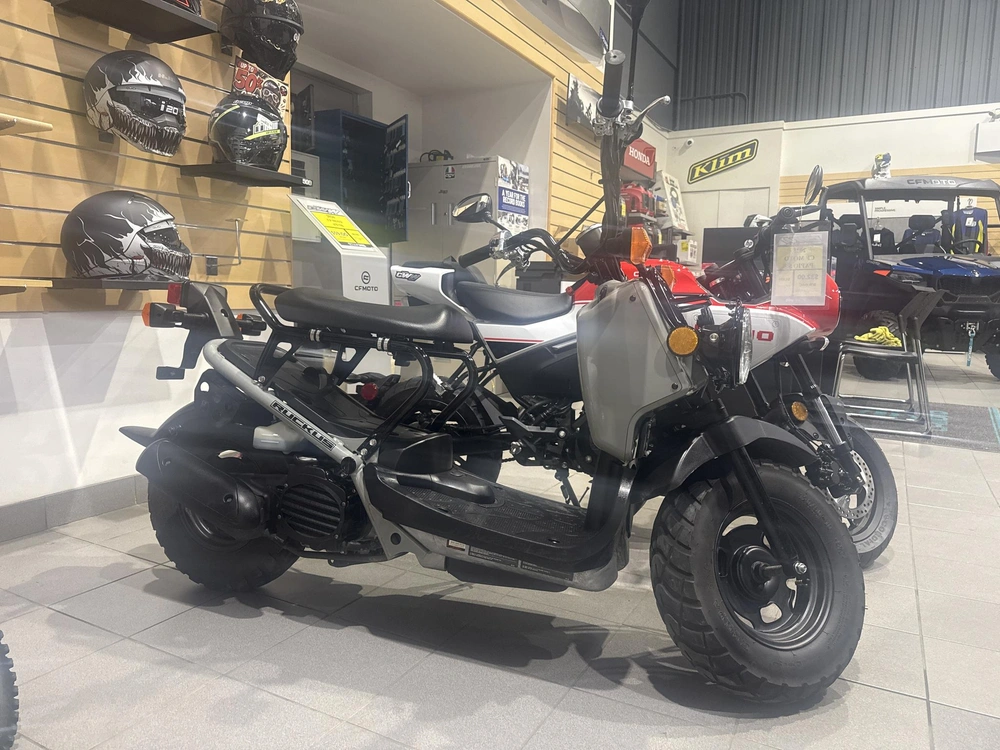 2022 Honda Ruckus alt
