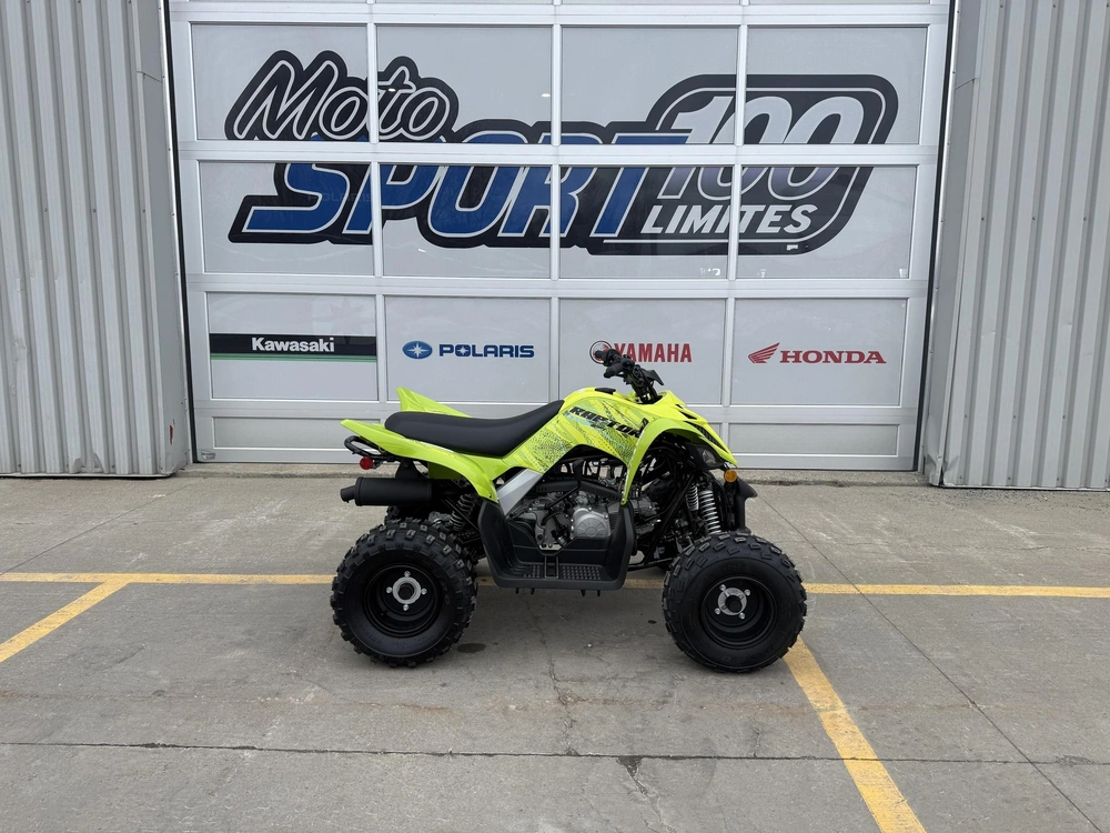 2027 Yamaha Raptor 110 alt